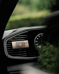Baobab - Black Pearls Car Diffuser