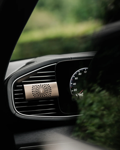 Baobab - Black Pearls Car Diffuser