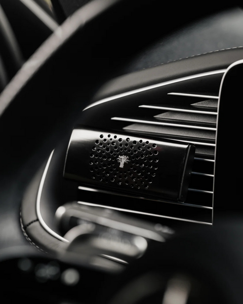Baobab - Black Pearls Car Diffuser