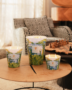 Baobab - Sacred Trees Yarani Max 10 Candle